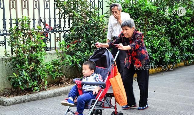 两老人送孙子上学被撞身亡：交通安全与老龄化社会挑战的深度剖析